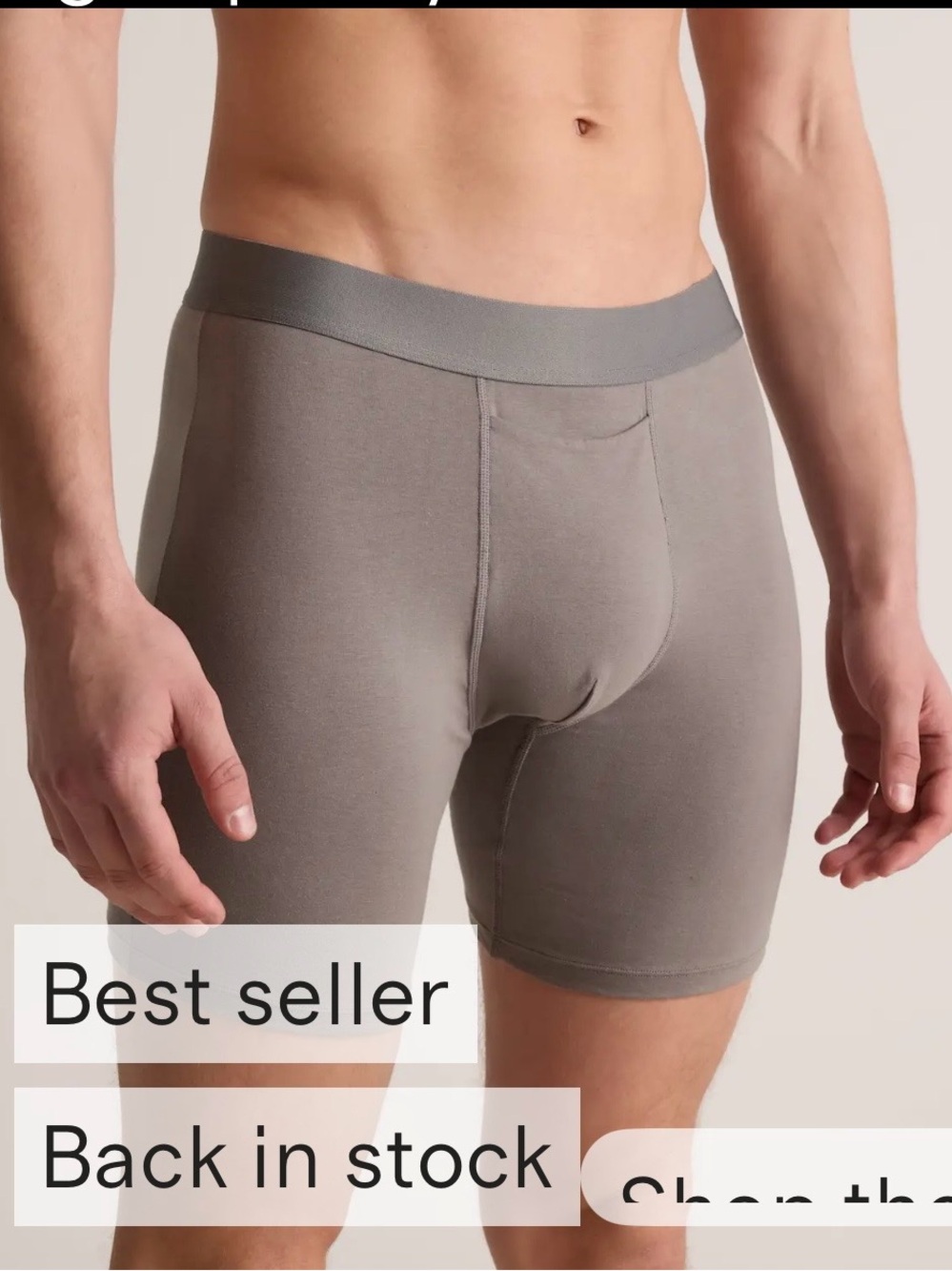 Men's Organic Cotton Grey Performance Boxer Briefs 4” length R0194